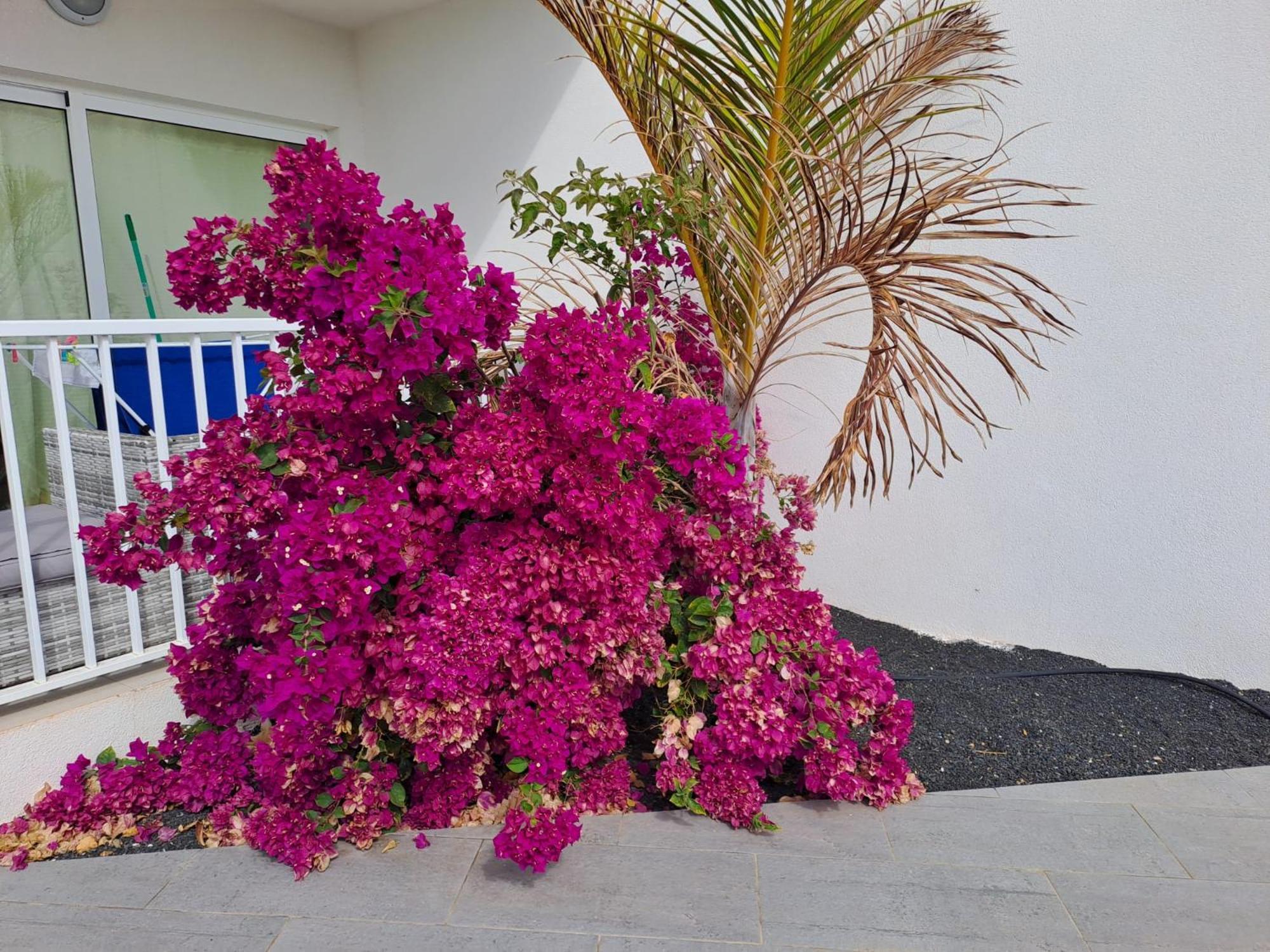 코스타 테기세 Luxury Sea View Senator Lanzarote 아파트 외부 사진